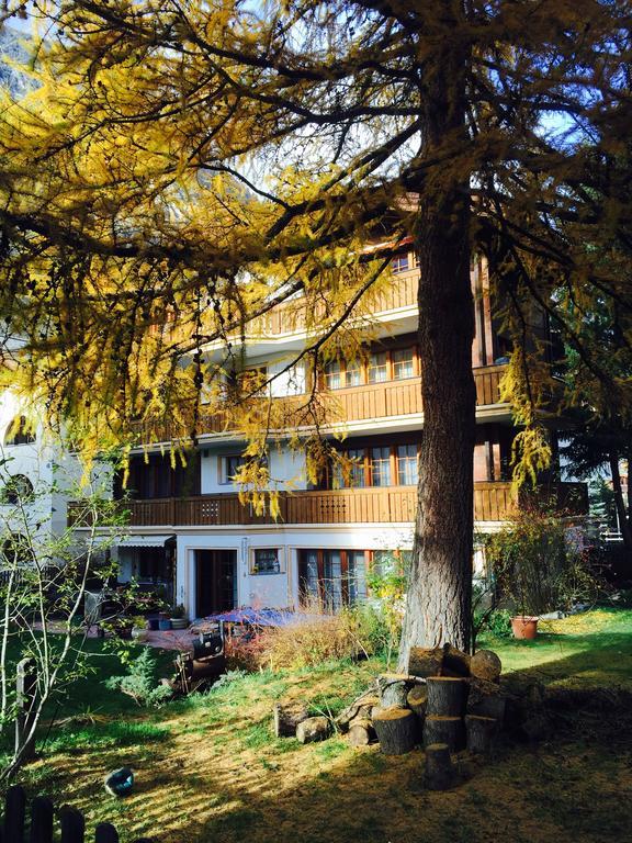 Haus Ares Appartement Zermatt